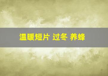 温暖短片 过冬 养蜂